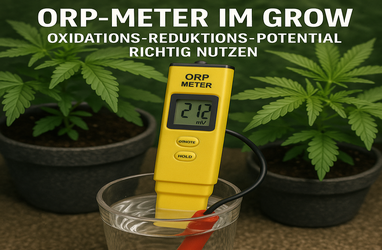https://growbee.de/bilder/news/101/orp_meter_382x250_preview.png