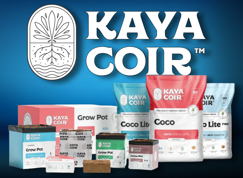 Kaya Coir – Das perfekte Coco-Substrat für kontrolliertes Wachstum - Kaya Coir Substrat – pH, EC &amp;amp; Vorteile im Grow erklärt | Growbee