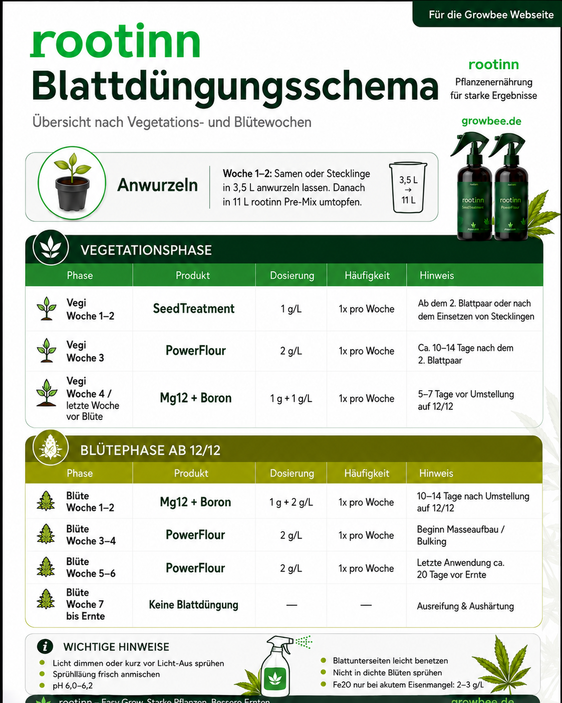 https://growbee.de/bilder/news/133/81945595-02f8-43bf-b198-85c433ef6b83_preview.png