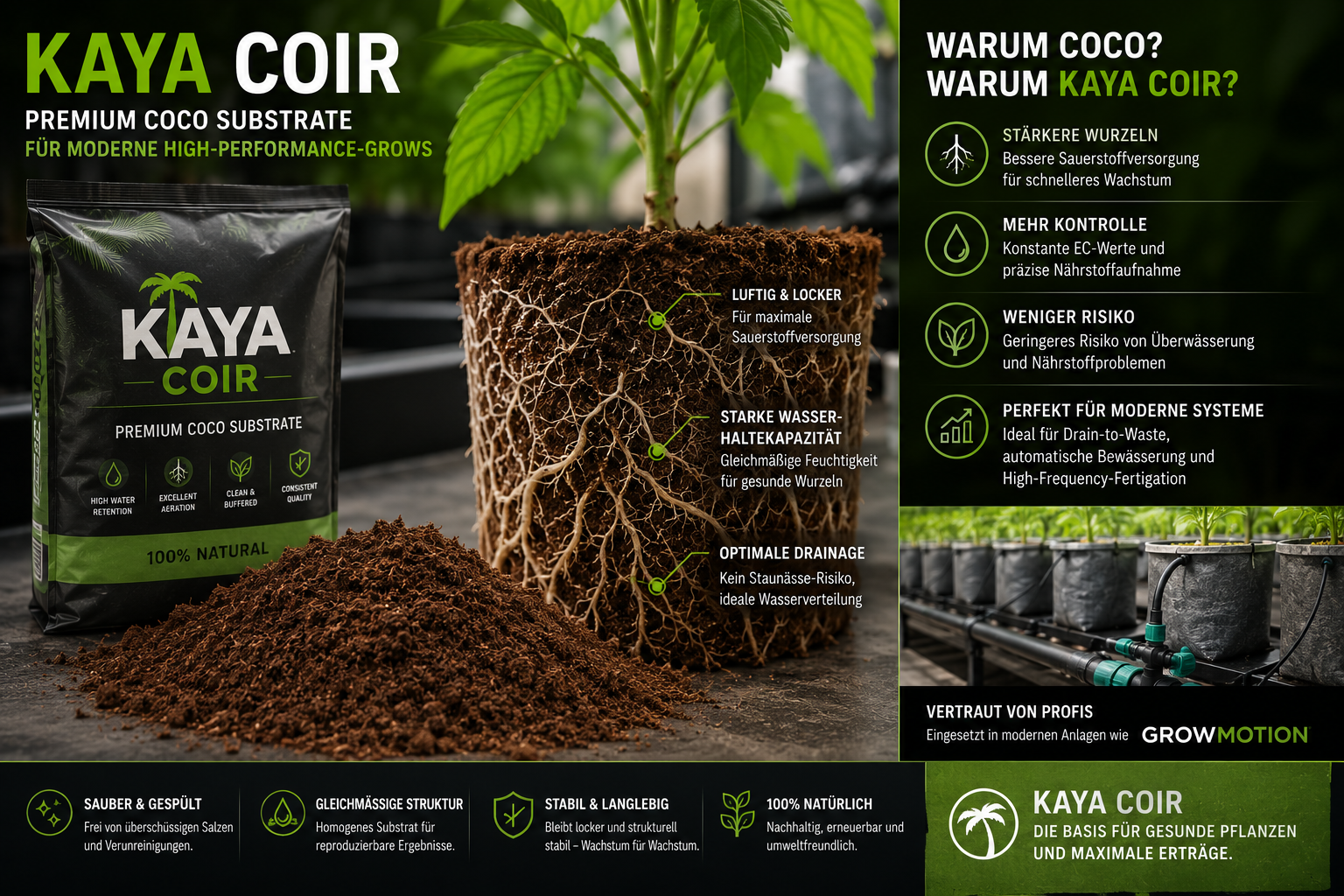 Kaya Coir – Luftiges Premium-Coco für moderne High-Performance-Grows - Kaya Coir – Luftiges Premium-Coco für moderne Growsysteme