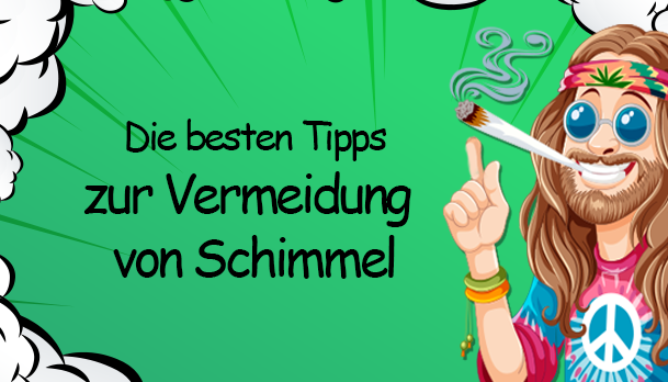 https://growbee.de/bilder/news/39/die-besten-tipps-zum-vermeiden-von-schimmel_preview.png