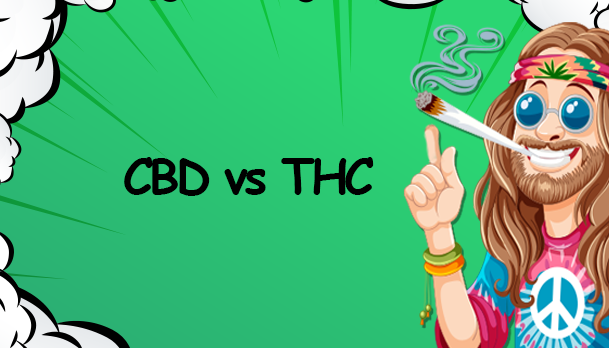 CBD vs. THC: Was ist der Unterschied und wie wählt man das richtige Brokkoli-Produkt? - CBD vs. THC: Unterschiede &amp;amp;amp;amp; Tipps für das richtige Brokkoli-Produkt