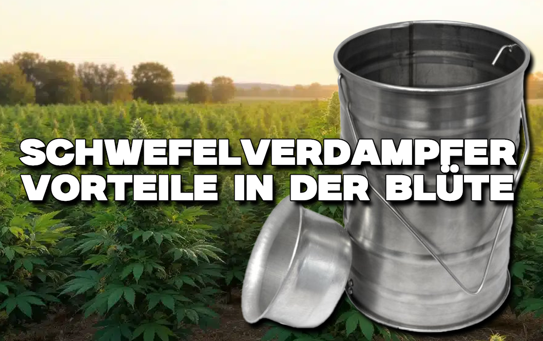 https://growbee.de/bilder/news/82/schwefelverdampfer-vorteile-in-der-bluete_preview.png