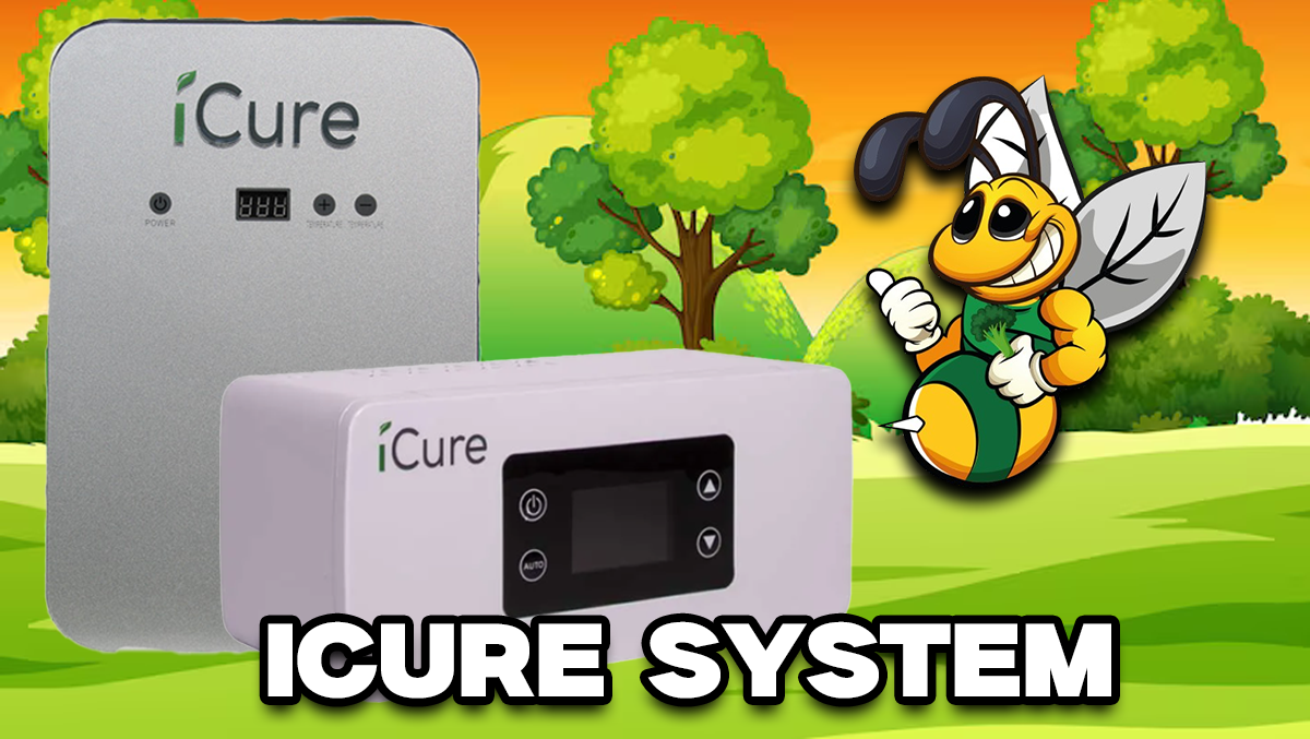 iCure Curing System – Cannabis perfekt trocknen &amp;amp; fermentieren - iCure Curing System – Cannabis perfekt trocknen &amp;amp; fermentieren