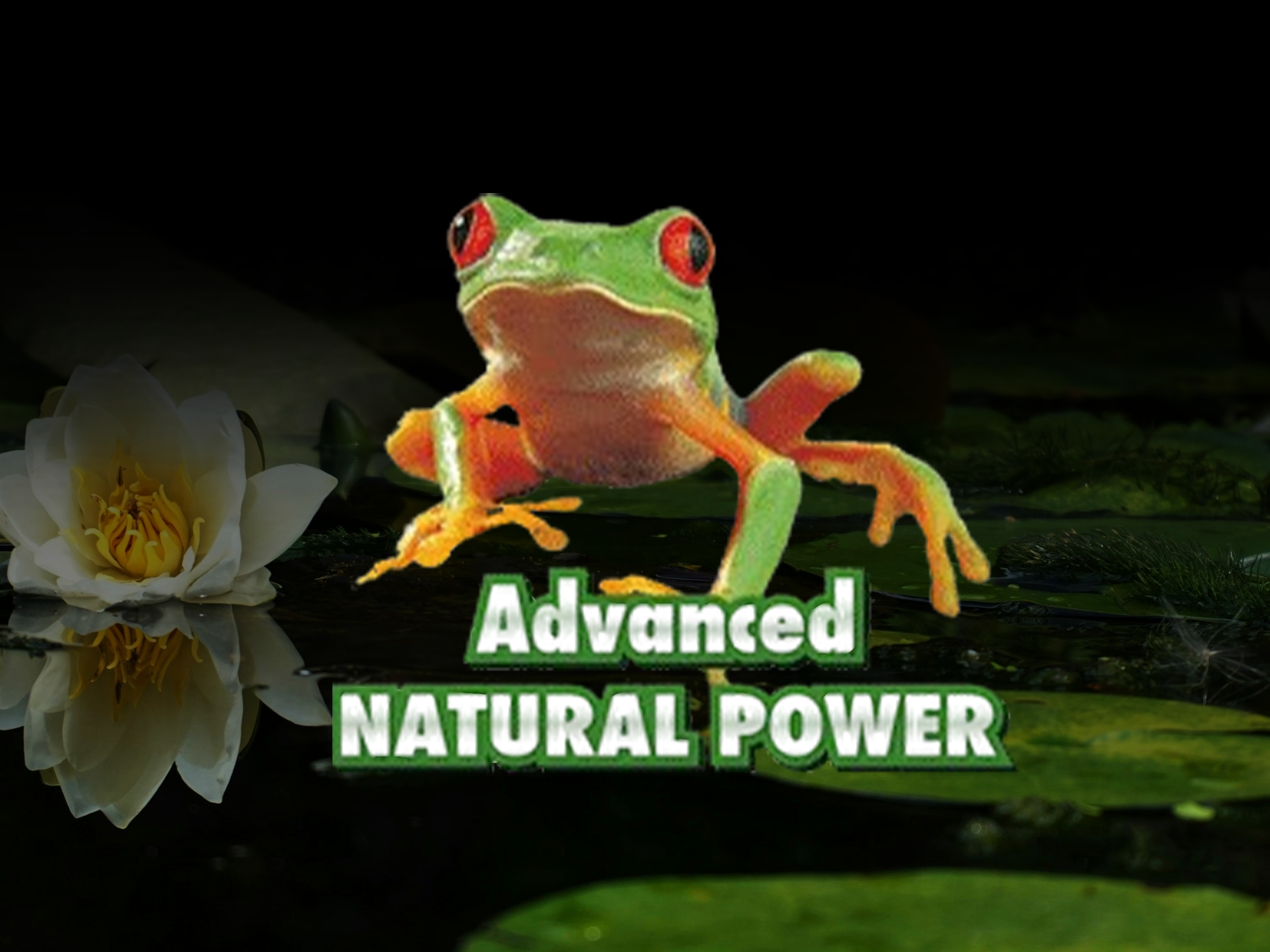 Advanced Hydroponics – die niederländische Nährstoff-Schmiede für starke Pflanzen - Advanced Hydroponics: Produkte &amp;amp; Dutch Formula erklärt