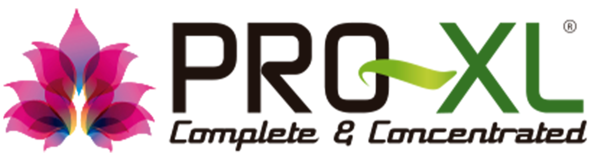 Hersteller: PRO-XL