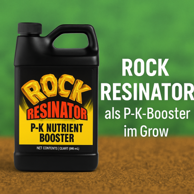 Rock Resinator im Grow – Warum der P-K-Booster so stark ist | The Rock Nutrients Guide - Rock Resinator im Grow – Warum der P-K-Booster so stark ist | The Rock Nutrients Guide