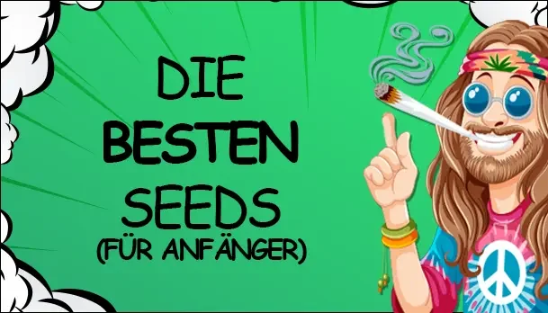 Die besten Pflanzensamen für Anfänger -  Die besten Pflanzensamen für Anfänger – Einfach und erfolgreich