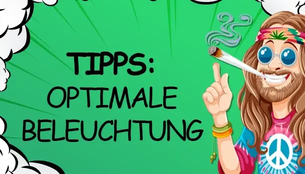 Beleuchtung im Pflanzenanbau: Tipps für optimale Lichtverhältnisse - Beleuchtung im Pflanzenanbau: Tipps für optimale Lichtverhältnisse