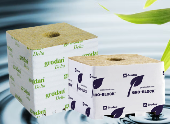 Grodan Steinwollwürfel oder Improved von Grodan – wo liegt der Unterschied wirklich? - Grodan Steinwollwürfel – Unterschied zwischen normal und Improved