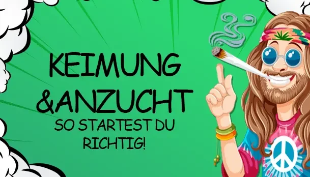 Keimung und Anzucht: So startest du richtig - Keimung und Anzucht: So startest du richtig
