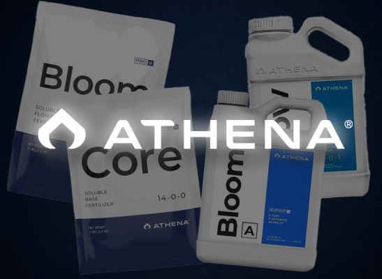 Athena Pro vs Blended - Athena Pro vs. Blended – Unterschiede, Vorteile und Kaufhilfe