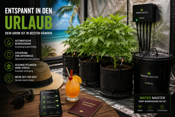 Urlaubsbewässerung für Homegrower – Entspannt verreisen ohne trockene Pflanzen - Urlaubsbewässerung für Homegrower – Water Master Tropf-Bewässerung