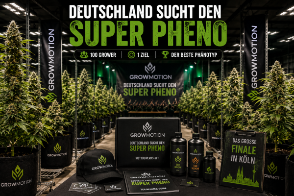 Deutschland sucht den Super Pheno – Wie Growmotion 100 Grower auf die Suche nach der nächsten Elite-Genetik schickte - Deutschland sucht den Super Pheno – Das Growmotion Pheno-Hunting Projekt