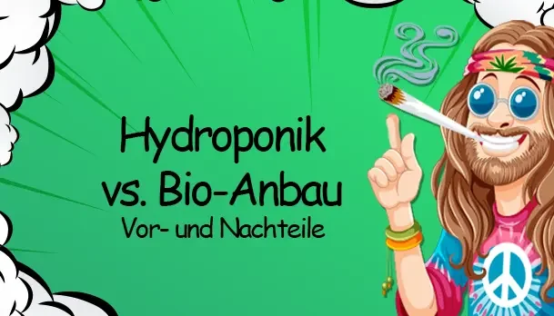 Hydroponik vs. Bio-Anbau: Vor- und Nachteile beider Methoden - Hydroponik vs. Bio-Anbau: Vorteile und Nachteile im Überblick