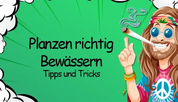 Die richtige Bewässerung deiner Pflanzen: Tipps und Tricks - Richtige Bewässerung deiner Pflanzen: Tipps und Tricks