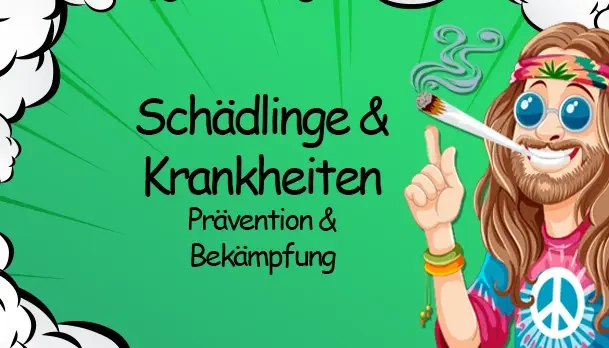 Pflanzenschädlinge und Krankheiten: Prävention und Bekämpfung - Schädlinge im Indoor-Anbau: erkennen und bekämpfen | Growbee