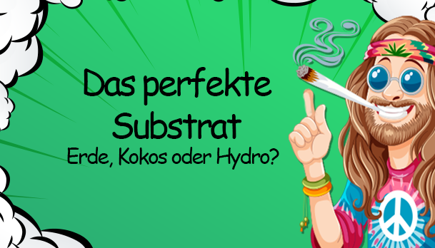 Das perfekte Substrat: Erde, Kokos oder Hydro – Welche Wahl ist die Beste? - Das perfekte Substrat: Erde, Kokos oder Hydro?