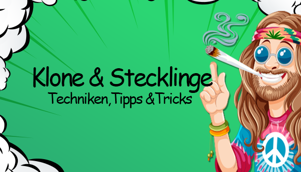 Pflanzen Klone und Stecklinge: Techniken, Tipps und Tricks - Pflanzen Klone und Stecklinge: Techniken, Tipps