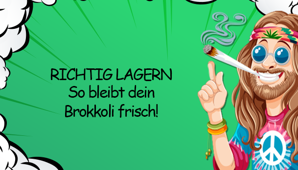 Richtig lagern: Behälter, Klimawerte und Fehler | Growbee - Richtig lagern: Behälter, Klimawerte und Fehler | Growbee