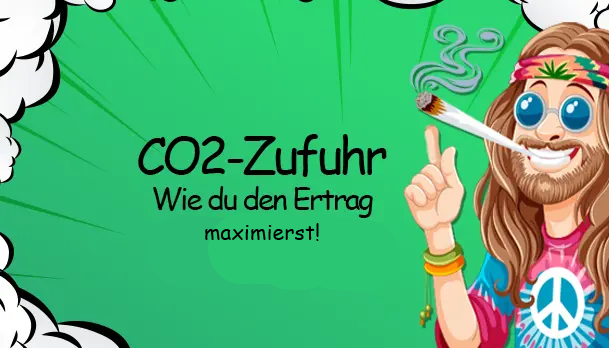   CO2-Zufuhr: Wie du den Ertrag maximierst - CO2-Zufuhr: So maximierst du deinen Ertrag beim Brokkoli-Growing