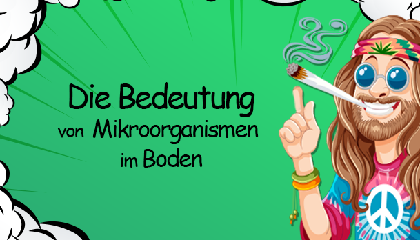 Die Bedeutung von Mikroorganismen im Boden für den Brokkoli-Anbau - Die Bedeutung von Mikroorganismen im Boden