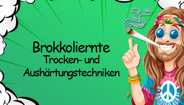  Brokkoli-Ernte: Trocken- und Aushärtungstechniken für beste Qualität - Brokkoli-Ernte: Tipps für perfekte Trocken- und Aushärtung