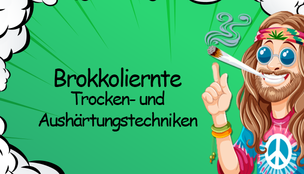 Richtig trocknen und lagern: Methoden im Vergleich | Growbee - Richtig trocknen und lagern: Methoden im Vergleich | Growbee