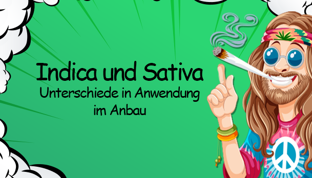 Indika oder Sativa: Unterschiede und Anwendung im Brokkoli-Anbau - Indika oder Sativa: Die besten Sorten für Brokkoli-Anbau