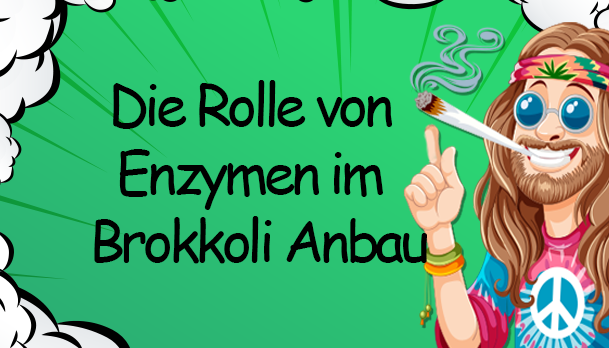 Die Rolle von Enzymen im Brokkoli Anbau -  Die Rolle von Enzymen im Brokkoli Anbau verstehen