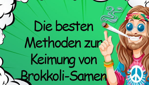 Die besten Methoden zur Keimung von Pflanzen-Samen - Keimung von Pflanzen-Samen: Beste Methoden erklärt