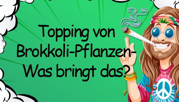 Topping von Brokkoli-Pflanzen – Was bringt das? - Topping von Brokkoli-Pflanzen: Effektive Anbau-Technik