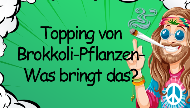 Topping von Pflanzen – Was bringt das? - Topping von Pflanzen: Effektive Anbau-Technik