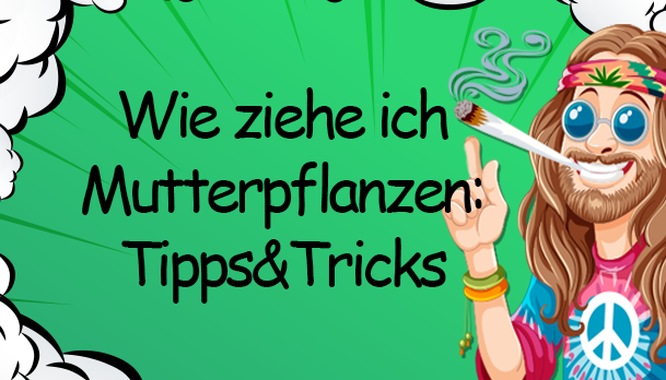 Wie ziehe ich Mutterpflanzen: Tipps und Anleitung - Wie ziehe ich Mutterpflanzen: Ultimativer Guide