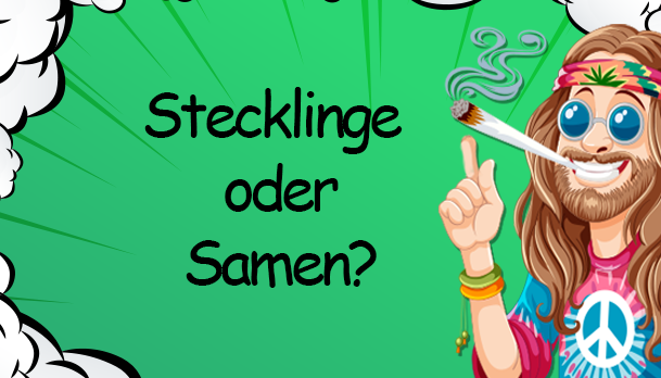 Stecklinge oder Samen: Was ist besser für den Brokkoli-Anbau? - Stecklinge oder Samen: Beste Wahl für Brokkoli