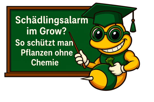 Schädlingsalarm im Grow? So schützt man Pflanzen ohne Chemie – mit Nützlingen, Purolyt &amp;amp; Co. - Pflanzenschutz im Grow – Ohne Chemie &amp;amp; trotzdem effektiv