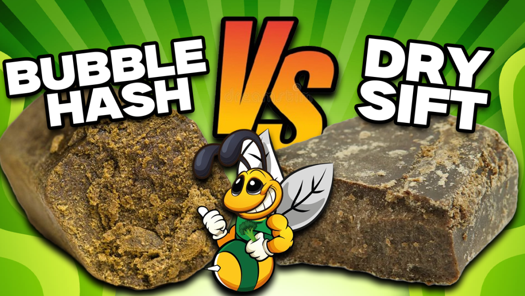 Hash Waschen vs. Dry Sift – Methoden im Vergleich