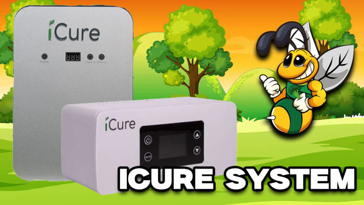 iCure Curing System – Cannabis perfekt trocknen &amp; fermentieren - iCure Curing System – Cannabis perfekt trocknen &amp; fermentieren