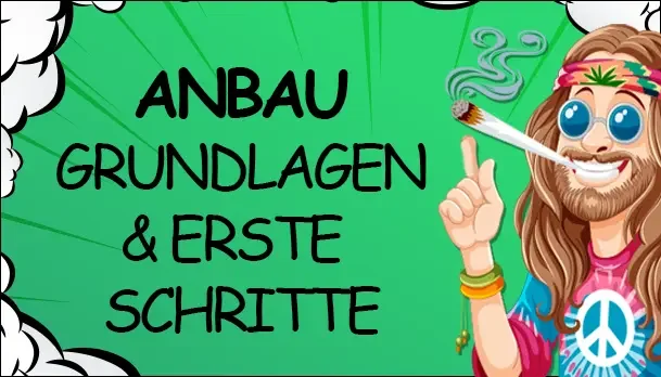 Einführung in den Indoor-Pflanzenanbau: Grundlagen und erste Schritte - Einführung in den Indoor-Pflanzenanbau: Grundlagen und erste Schritte