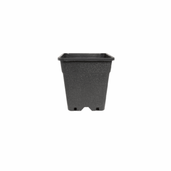 Topf Ferna Serie Topf 11 L 24 x 24 x 28 cm