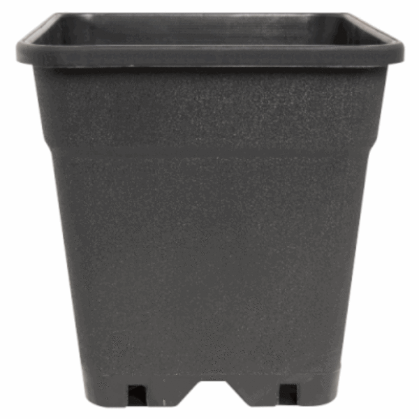 Topf Ferna Serie Topf 25 L 33 x 33 x 35 cm