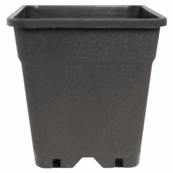 Topf Ferna Serie Topf 30 L 37 x 37 x 37 cm