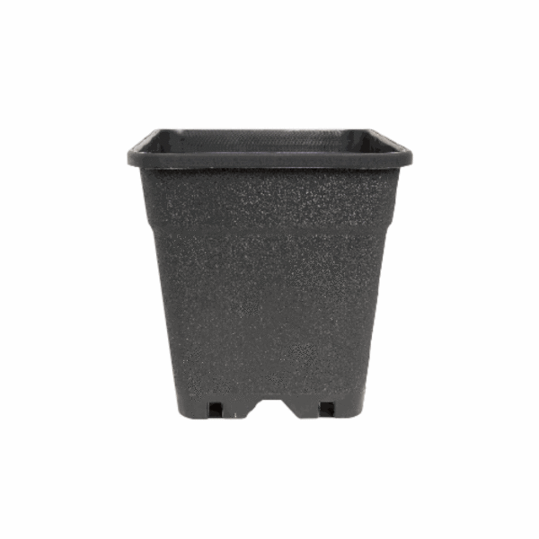 Topf Ferna Serie Topf 5 L 18 x 18 x 22 cm
