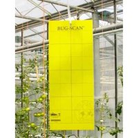 Brimex Bug-Scan Gelb Effiziente Schädlingsüberwachung