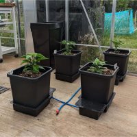 AutoPot 1Pot 1 Topf System inkl. 47L Wasserfass