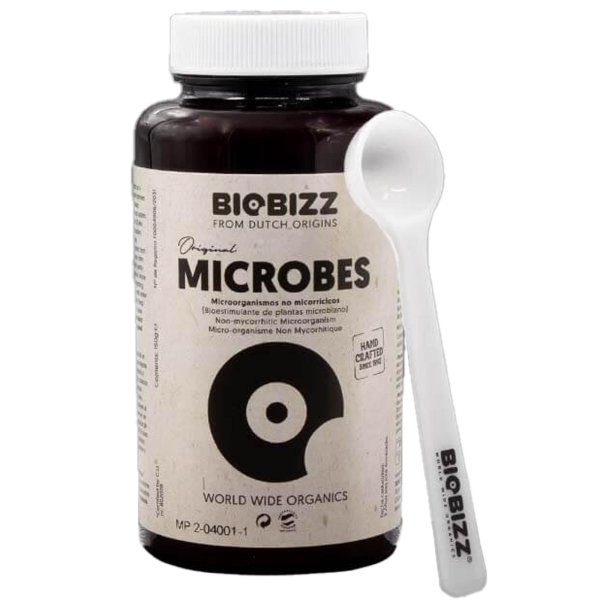 Biobizz - Microbes