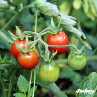 Hubey Veggie Boost 1 Liter Flüssigdünger, biologischer Naturdünger ohne tierische Zusätze