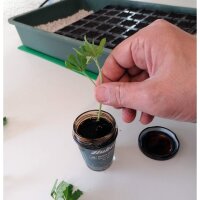 Hubey Bio Rooting Gel Bewurzelungsmittel für Stecklinge
