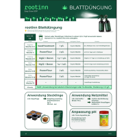 Rootinn SeedTreatment 100/500g