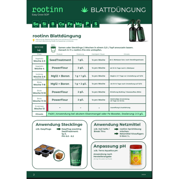 Rootinn Fe20 Dünger 100/500g